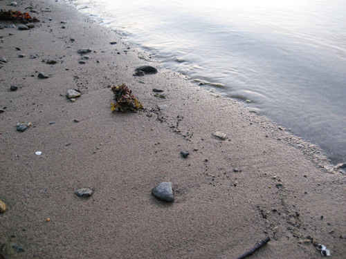 Strandkant