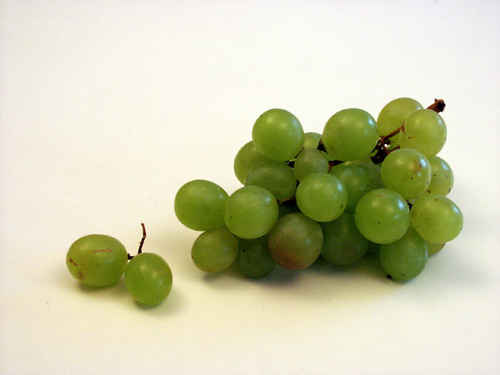 vindruvor