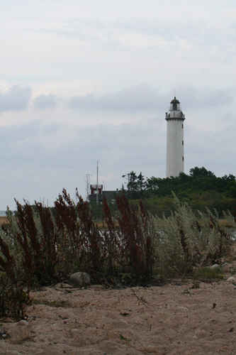 Kust