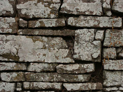 Mur