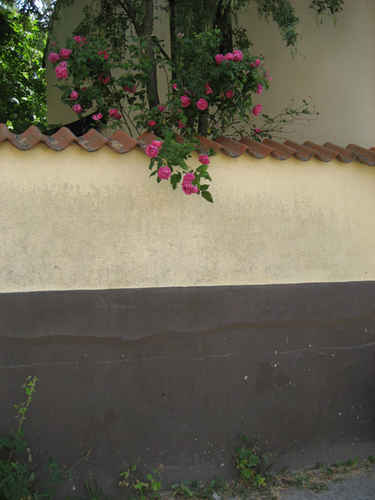 en liten mur
