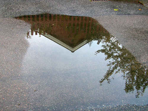 Reflektion i vatten