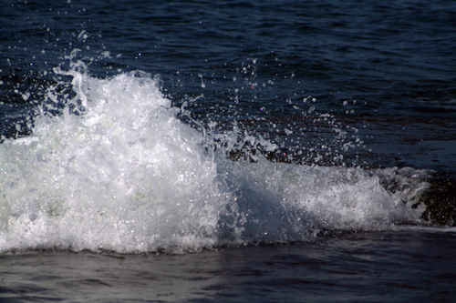 Våg