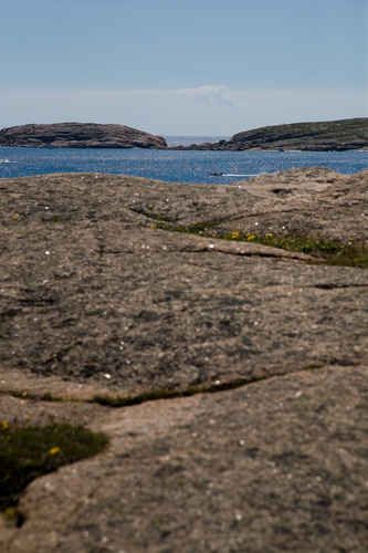 Berg