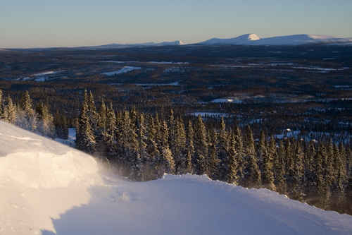 Fjällanskap