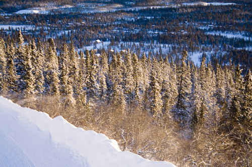 Vinterlandskap