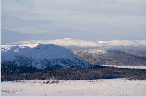 Svenska fjällen