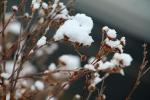 IMG_2254.jpg