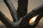 IMG_2290-01.jpg