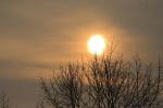 IMG_2292-01.jpg