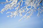 IMG_3055-01.jpg