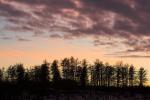 IMG_3622-01.jpg