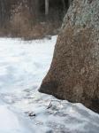 PICT0018.jpg