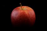 rott_apple.jpg