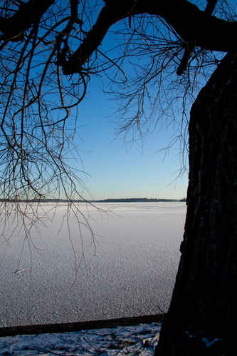 Frusen sjö