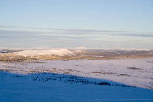 Vit vinter