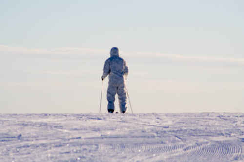 Vit vinter