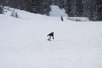vinter080501-15.jpg