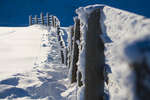 vinter080501-98.jpg