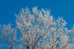 vinter091219-01.jpg