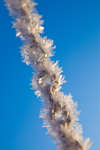 vinter091219-03.jpg