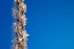 vinter091219-04.jpg