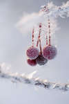vinter091219-05.jpg