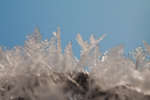 vinter091219-08.jpg