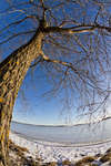 vinter110202-6.jpg