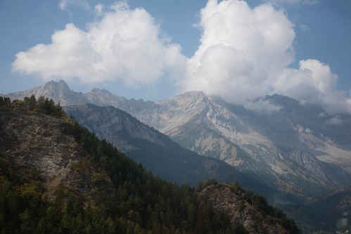 Alperna