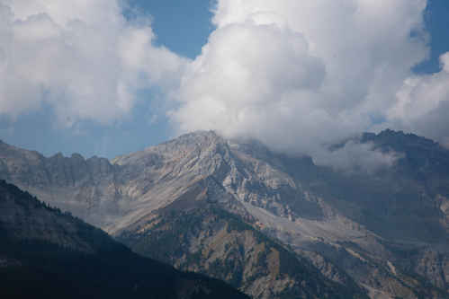 Alperna
