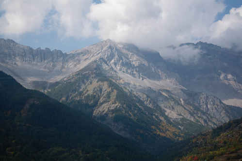 Alperna