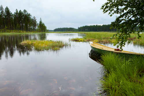 Roddbåt