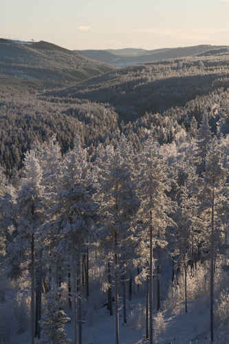 Vy från Trängslet