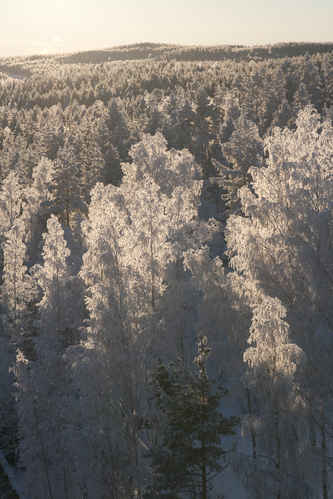 Vy från Trängslet