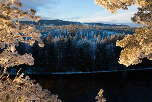 Vinter