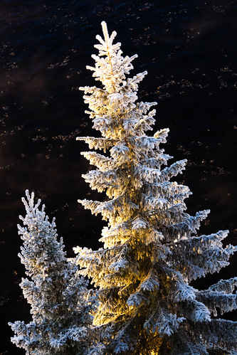 Vinter