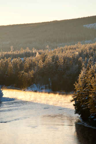 Vinter