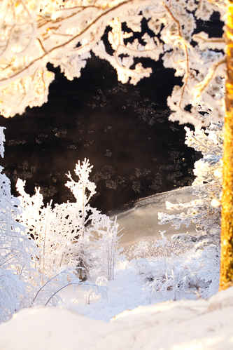 Vinter