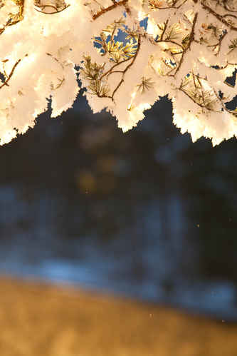 Vinter