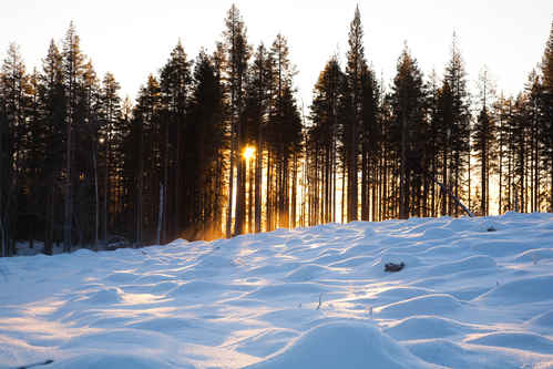 Vinter