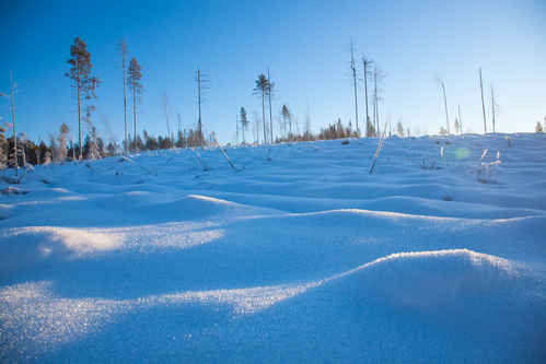 Vinter