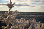alvdalen2008-126.jpg