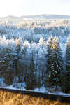 alvdalen2008-153.jpg