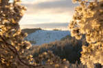 alvdalen2008-156.jpg