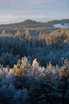 alvdalen2008-159.jpg