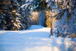 alvdalen2008-48.jpg