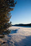 alvdalen2008-66.jpg