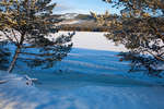 alvdalen2008-70.jpg