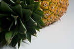 ananas080501-3.jpg